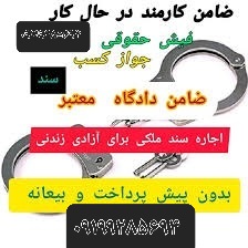 اجاره سند/فیش حقوقی/جوازکسب /ضامن/09199285694